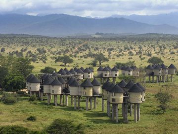 Travel with the Safari Experts