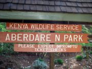 Travel with the Safari Experts