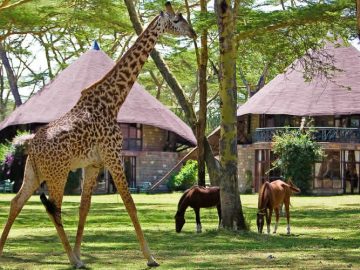 Travel with the Safari Experts