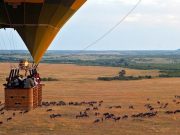 Travel with the Safari Experts