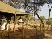 Travel with the Safari Experts