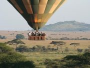 Travel with the Safari Experts