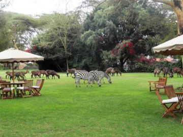 Travel with the Safari Experts