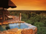 Travel with the Safari Experts