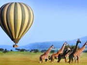 Travel with the Safari Experts