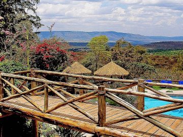 Travel with the Safari Experts