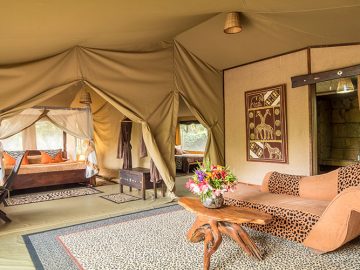 Travel with the Safari Experts