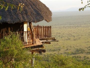 Travel with the Safari Experts