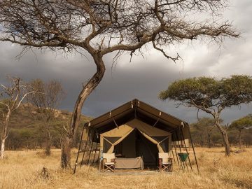 Travel with the Safari Experts